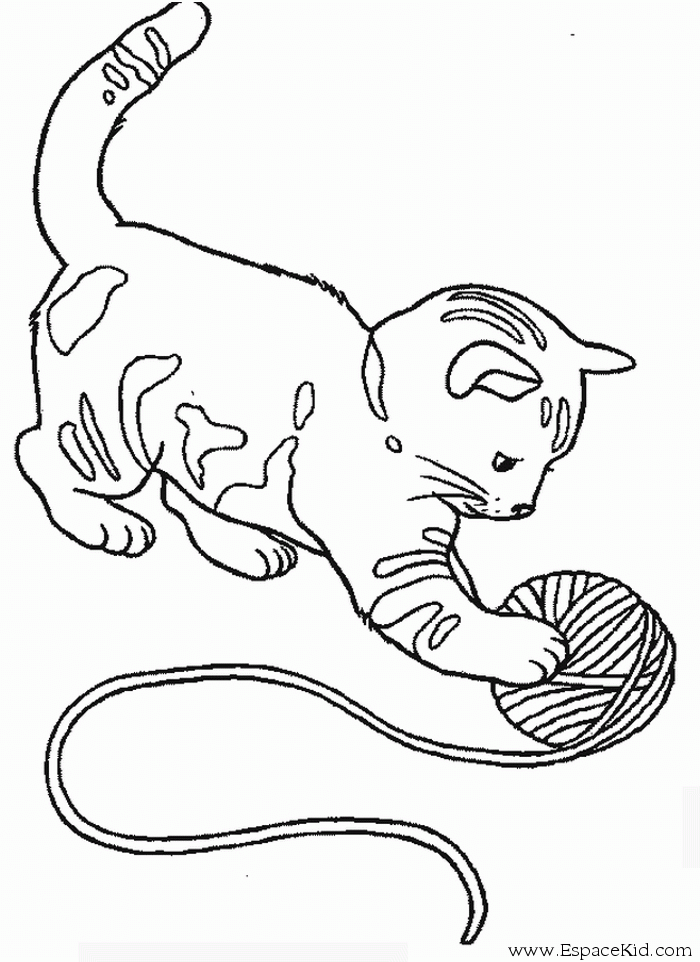 Coloriage bébé chat à imprimer