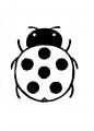 Coloriage Petite coccinelle