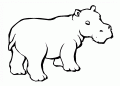 Coloriage Hippopotame et dessin Hippopotame