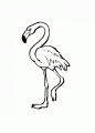 Coloriage Flamand rose et dessin Flamand rose