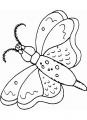 Coloriage Joli papillon et dessin Joli papillon