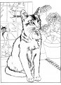 Coloriage Chat et dessin Chat