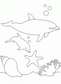 Coloriage Deux dauphins et dessin Deux dauphins