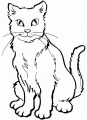 Coloriage Chat et dessin Chat